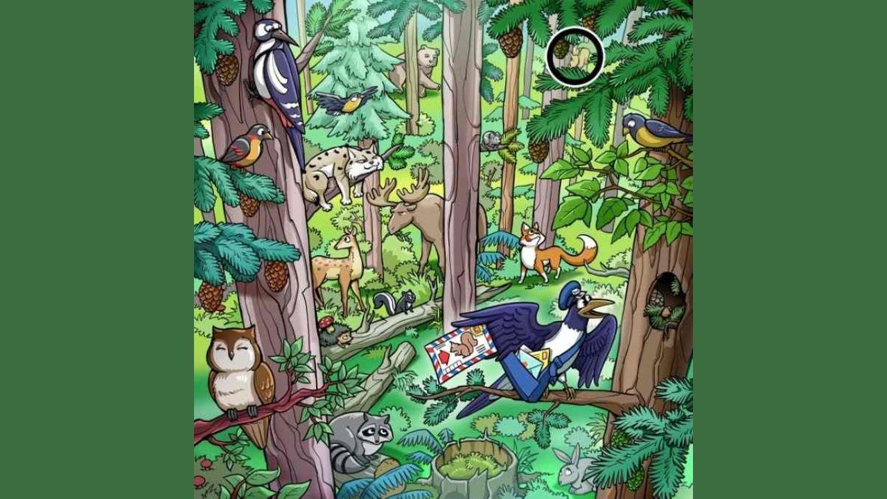 Imagem: Brightside/Reprodução