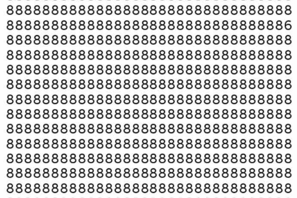 Encontre o 6 entre os 8's neste desafio de ótica.
