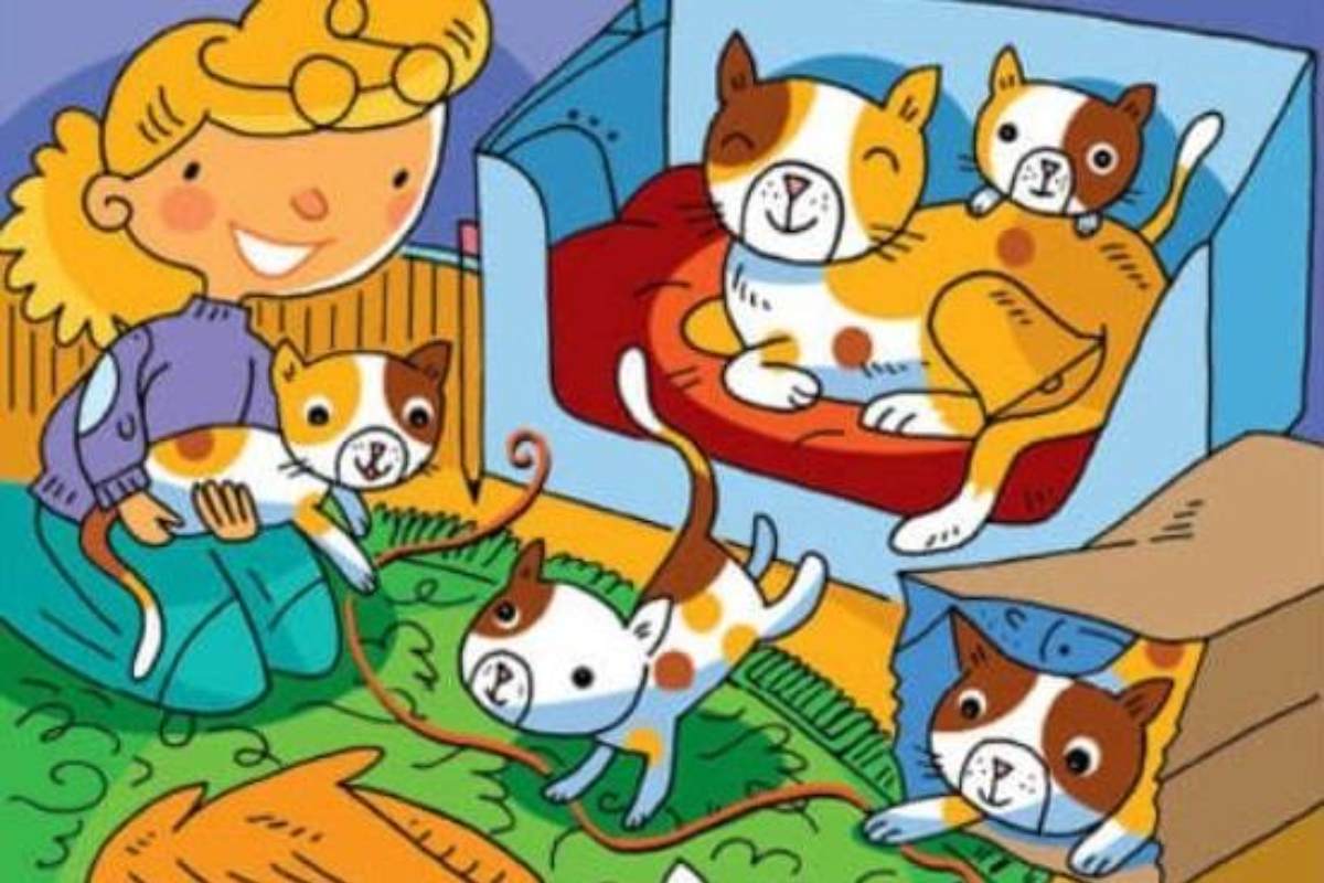 Encontre o pente entre os gatos na sala de estar.