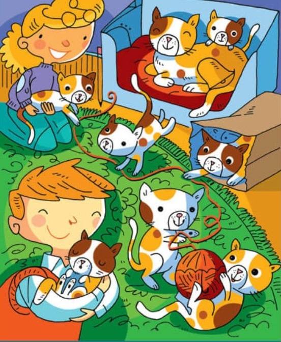 Encontre o pente entre os gatos na sala de estar.