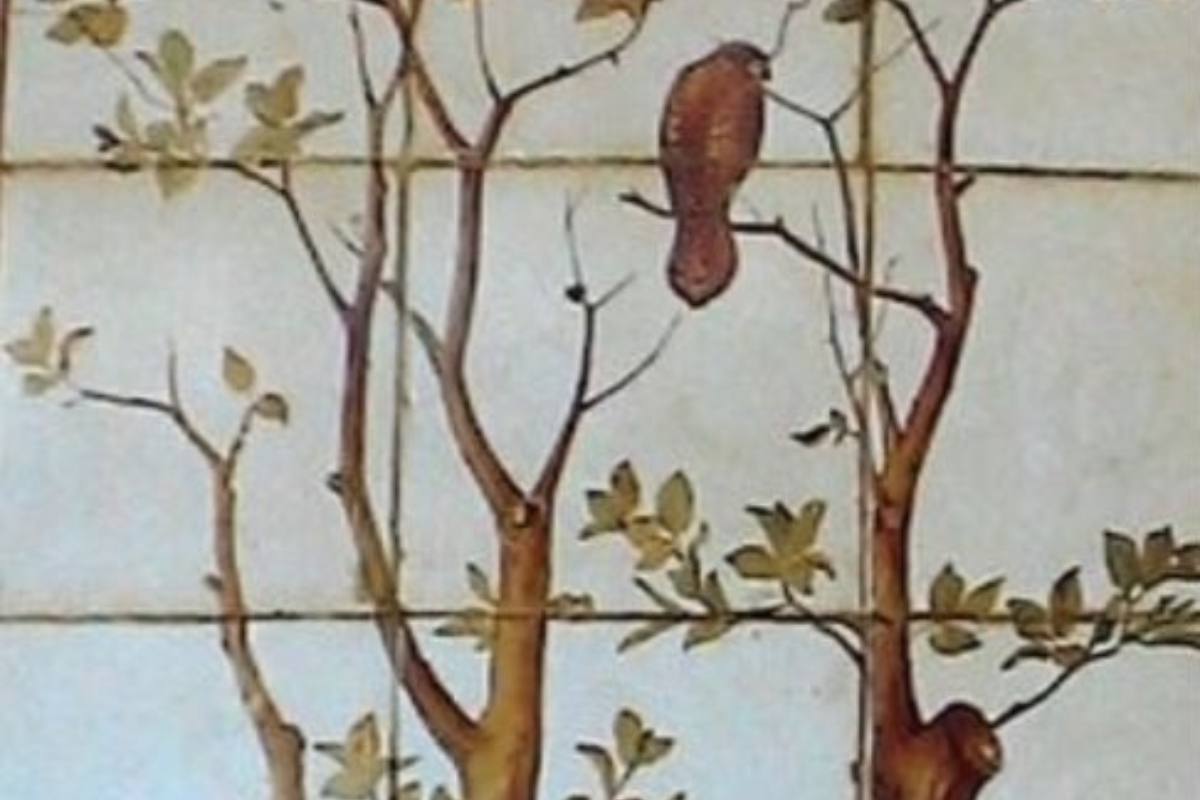 Encontre o príncipe na imagem das árvores.
