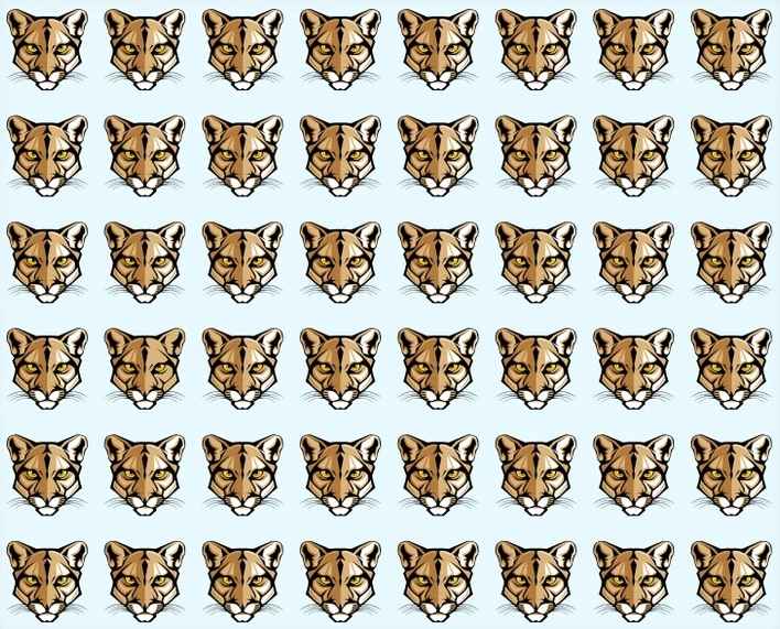 Encontre o puma diferente.