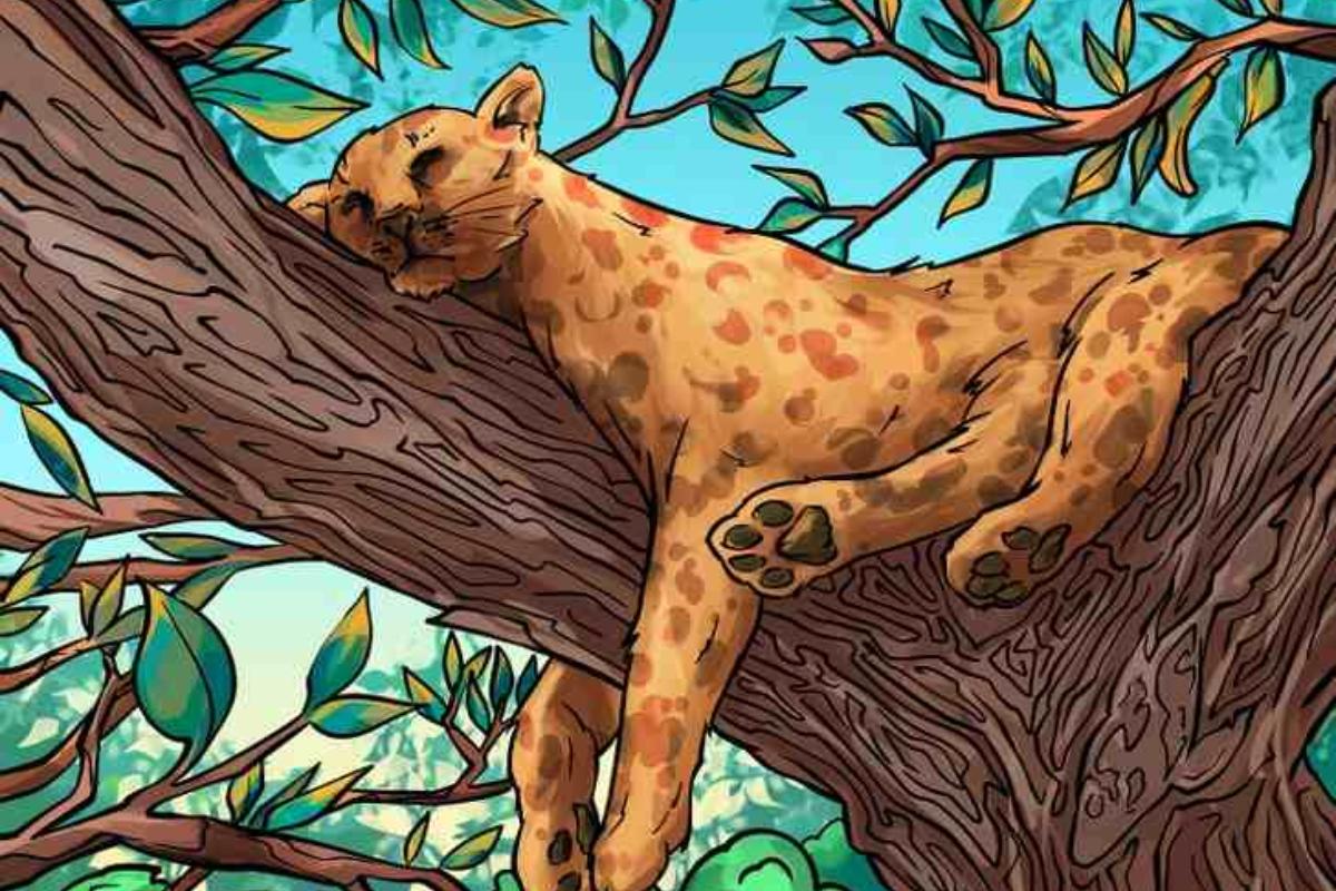 Encontre os 4 objetos na imagem do leopardo.