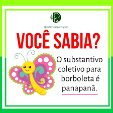 Dúvidas de português: você sabe qual é o coletivo de borboletas? Dúvidas de português: você sabe qual é o coletivo de borboletas?