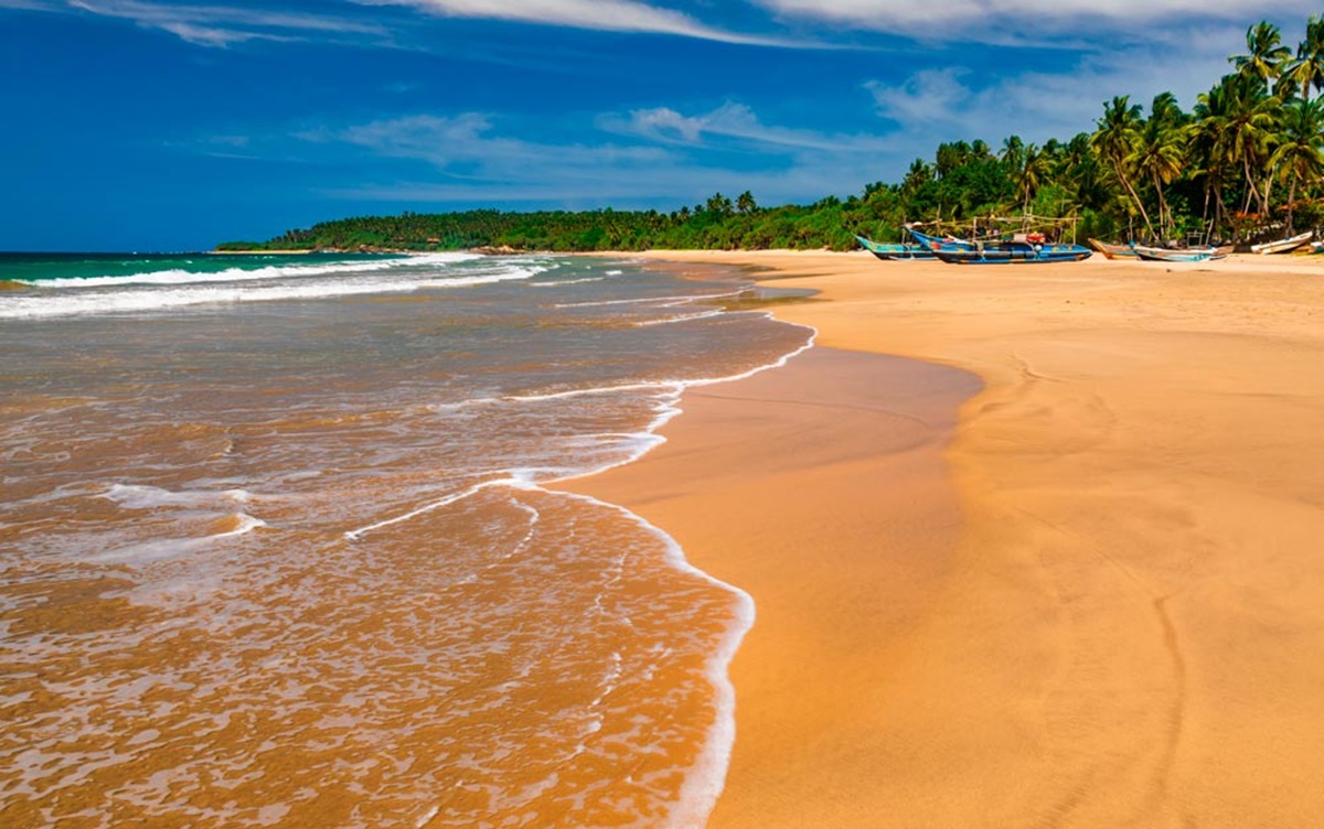 Você ama praia? Então estas 5 profissões são para você!