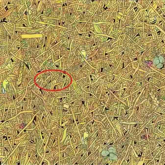resposta de onde esta a agulha no palheiro Resposta de onde está a agulha no palheiro.