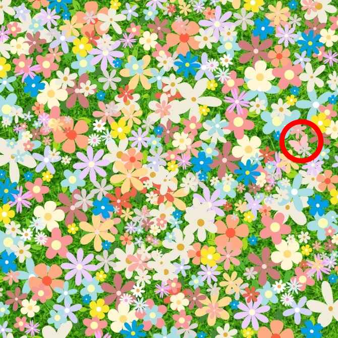 Resposta de onde está a borboleta entre as flores.