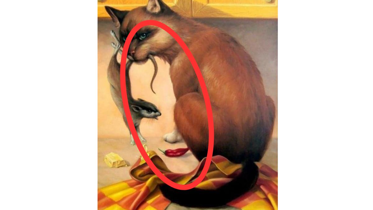 Resposta de onde está a mulher entre o gato e o rato.