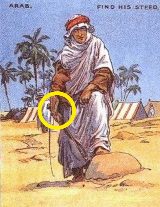 resposta de onde esta o cavalo perdido Resposta de onde esta o cavalo perdido no deserto.