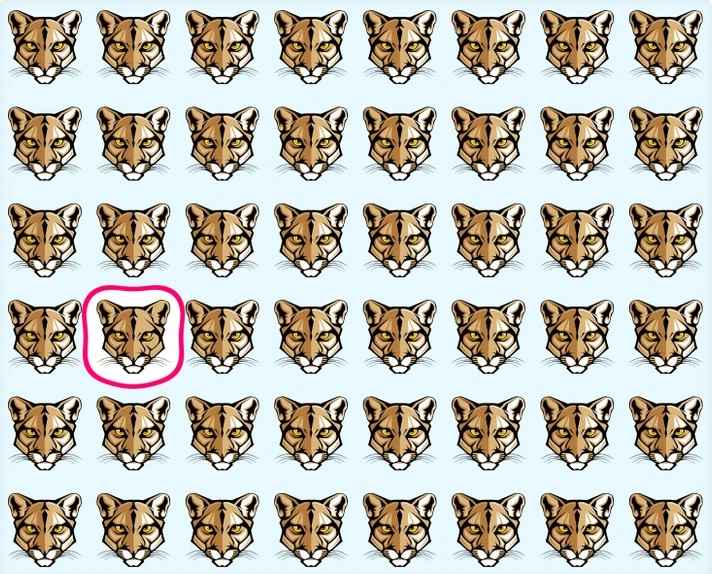 Resposta de onde está o puma na imagem.