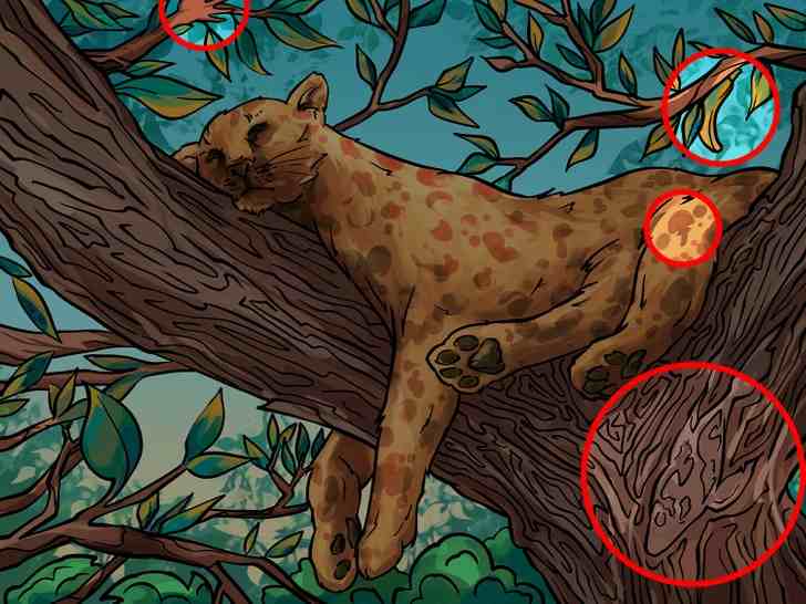 resposta dos objetos Resposta de onde estão os 4 objetos na imagem do leopardo.