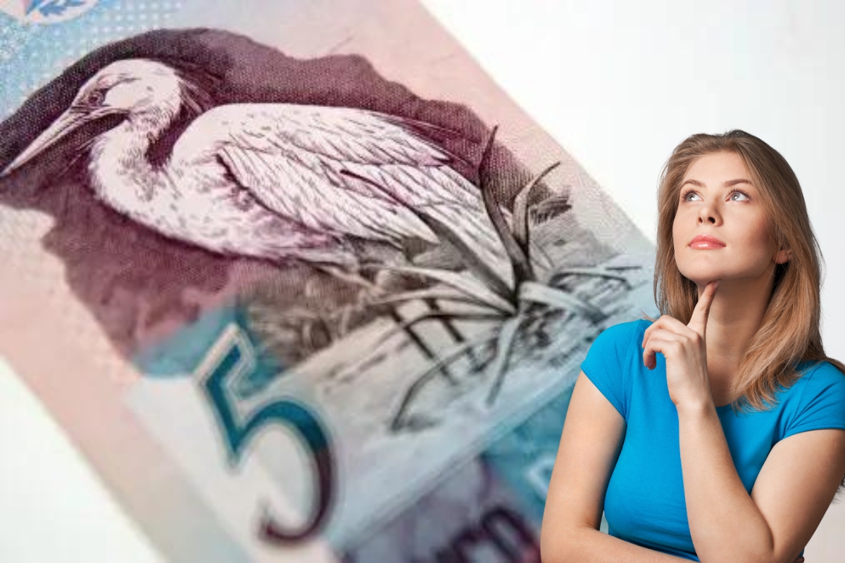 Nota especial de 5 reais é vendida por ALTO PREÇO: especialistas orientam brasileiros que têm em casa