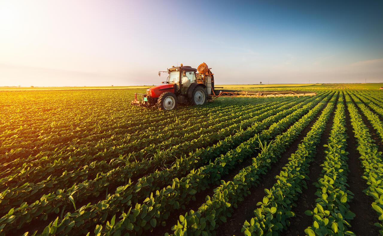 Colhendo SUCESSO! Profissões de destaque no agronegócio brasileiro