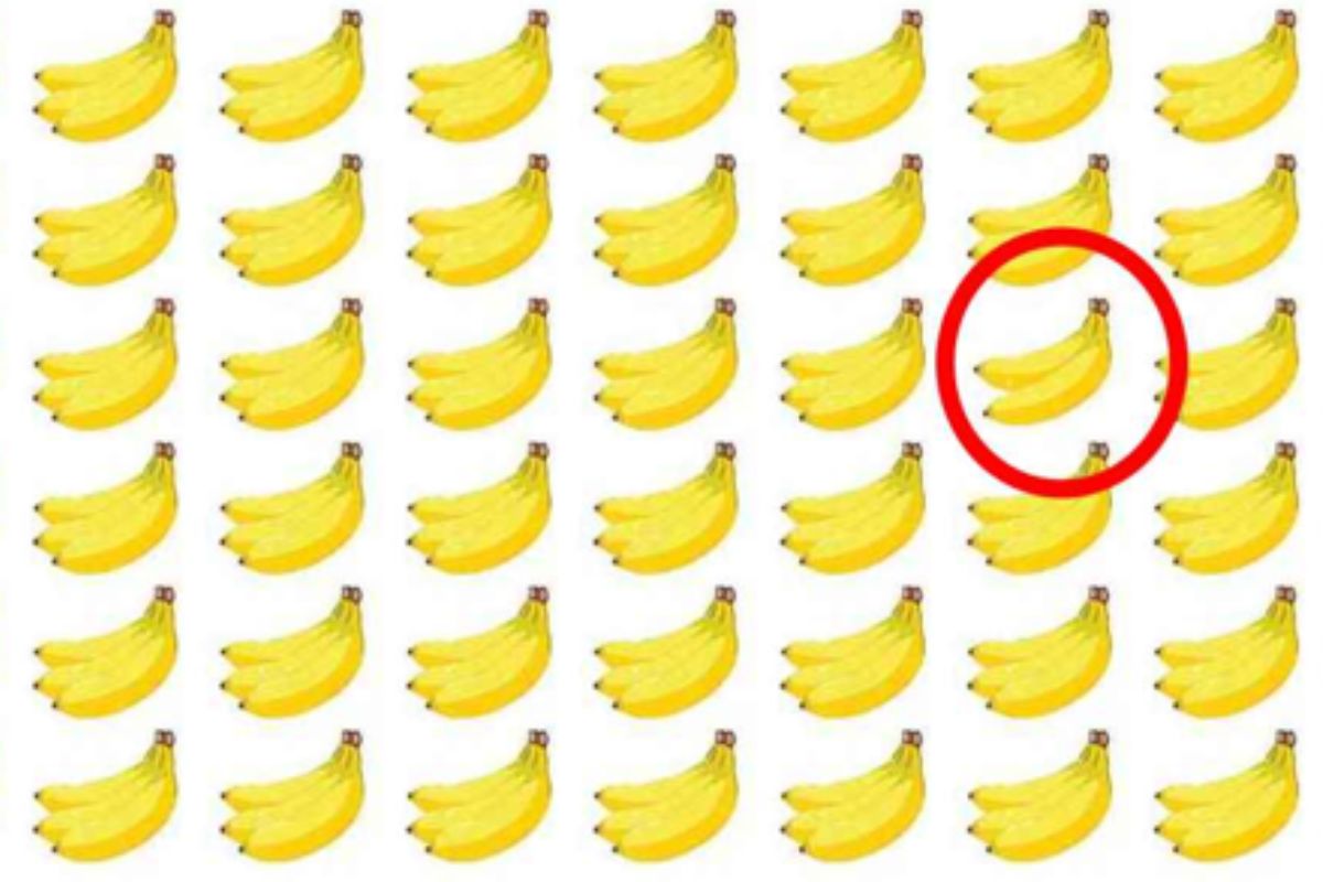 Teste de ilusão de ótica encontre o cacho de bananas diferente em menos de segundos Imagem Canva Pró Teste de ilusão de ótica encontre o cacho de bananas diferente em menos de segundos Imagem Canva Pró