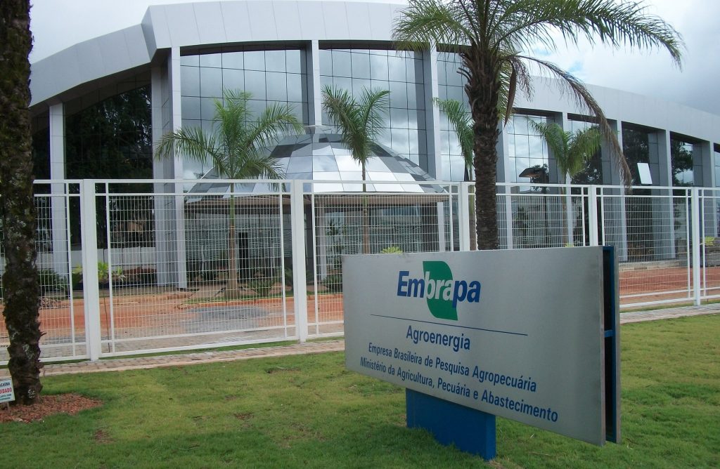 concurso Concurso Embrapa está previsto para ser lançado! Imagem: Portal Embrapa