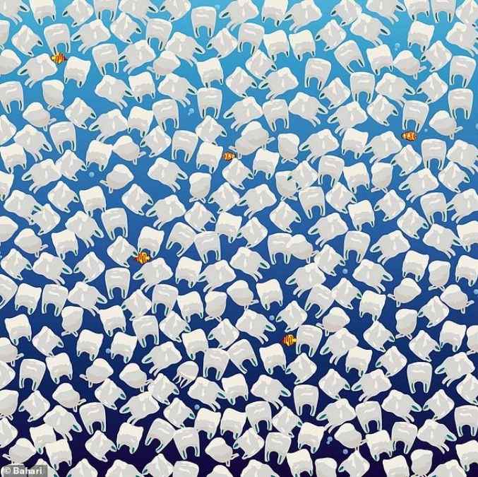 encontre a agua viva entre as sacolas de plastico Encontre a água-viva entre as sacolas de plástico.
