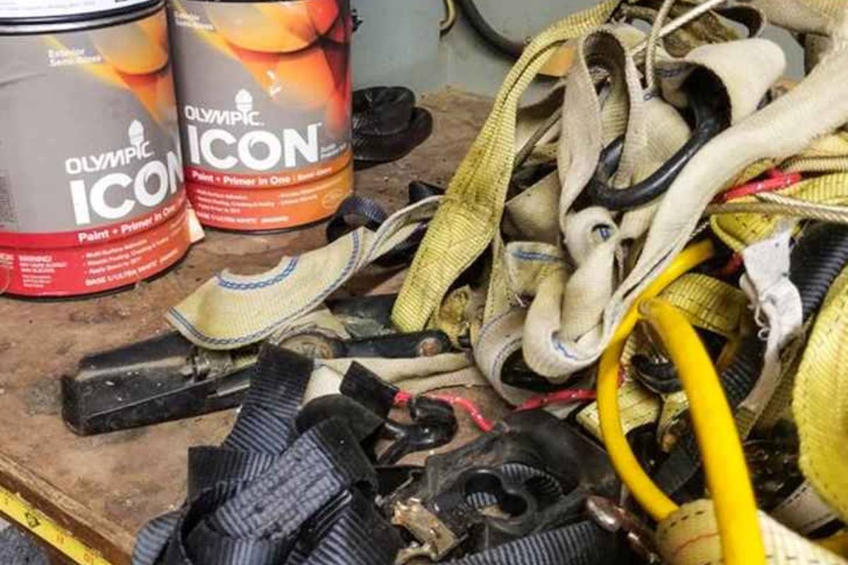 Encontre a cobra na imagem.