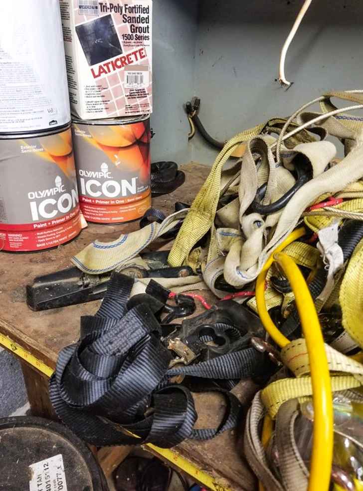 encontre a cobra na imagem abaixo Encontre a cobra na imagem.