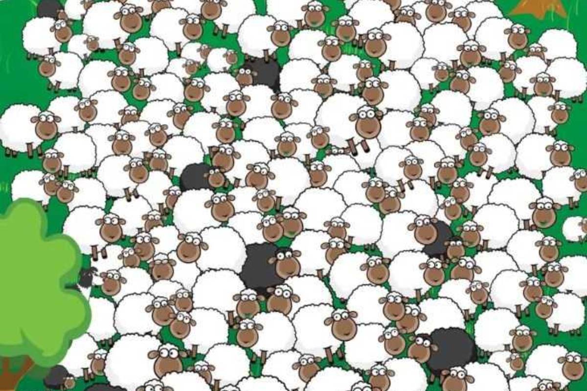 Encontre a ovelha que está dormindo na imagem.