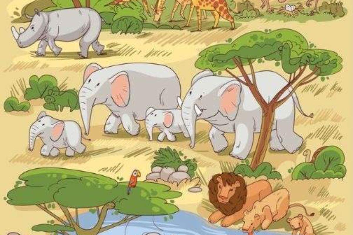 Encontre a tartaruga na savana.