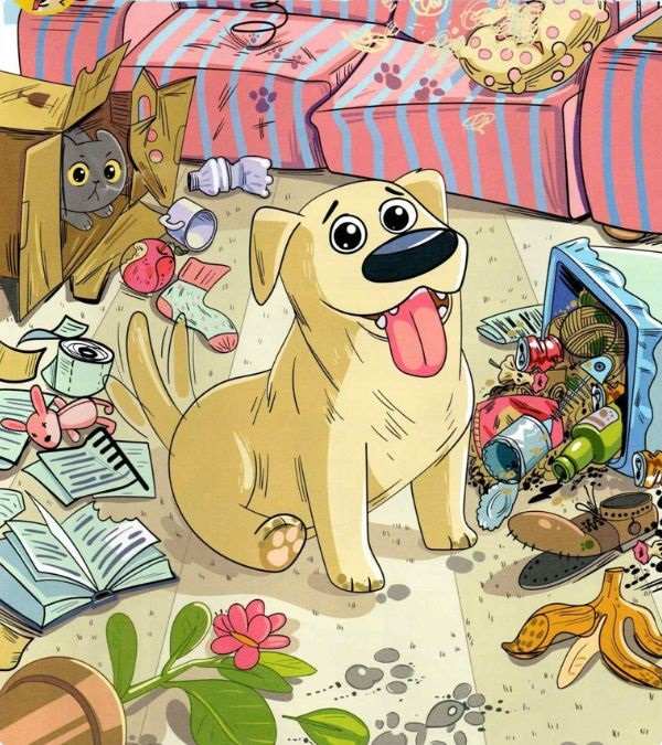 encontre a tigela de vidro na imagem Encontre a tigela de vidro na imagem.