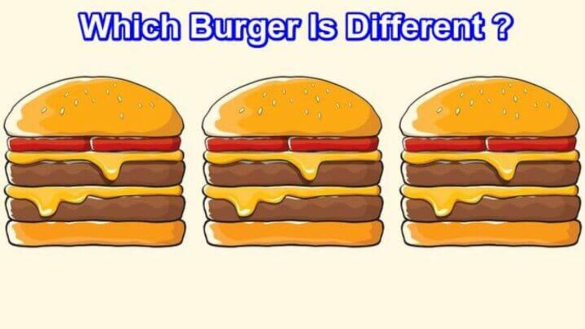 encontre o hamburguer diferente Encontre o hambúrguer diferente.