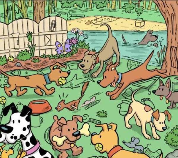 encontre o ima na imagem Encontre o ímã na imagem deste desafio visual.