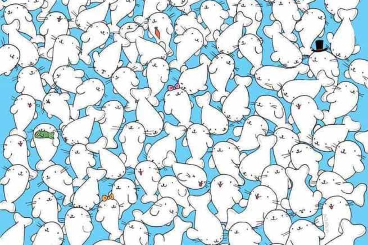 Encontre o marshmallow entre as focas.