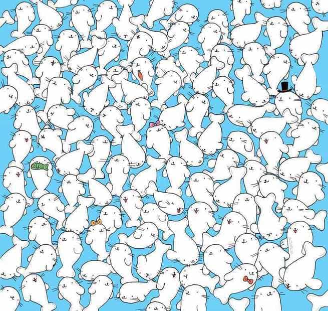 encontre o marshmallow entre as focas Encontre o marshmallow entre as focas.