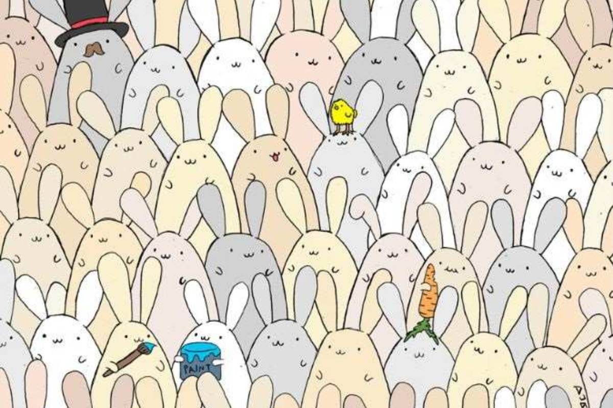 Encontre o ovo entre os coelhos.