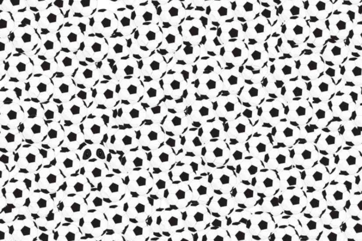 Encontre o panda entre as bolas de futebol.