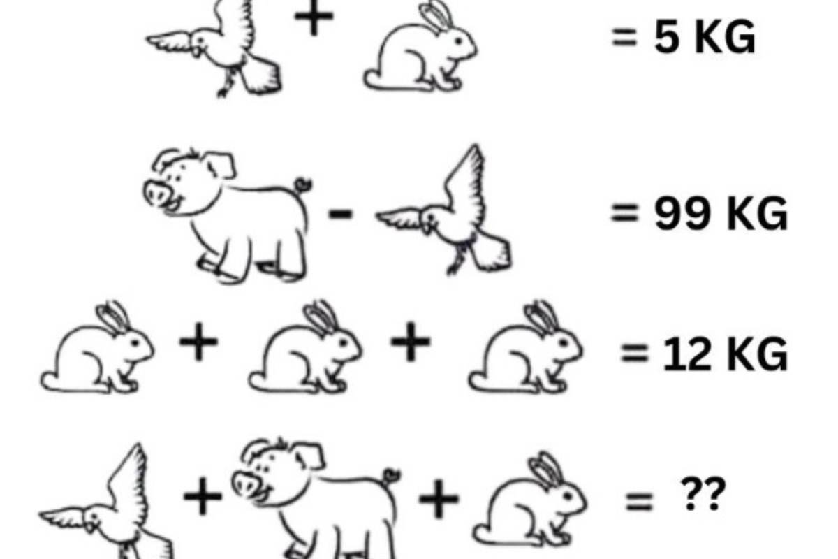 Encontre o peso dos animais.
