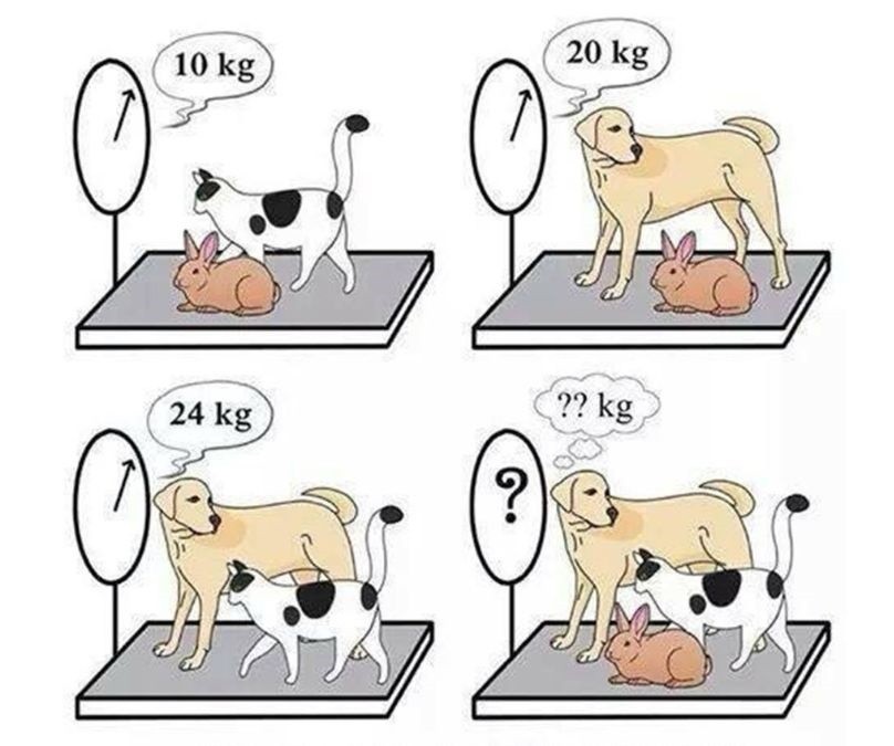 encontre o peso dos animais da imagem Encontre o peso dos animais da imagem.