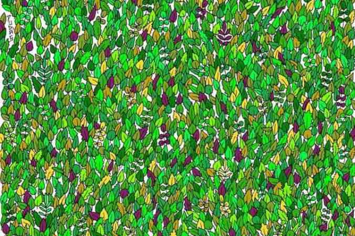 Encontre o sapo entre as folhas.