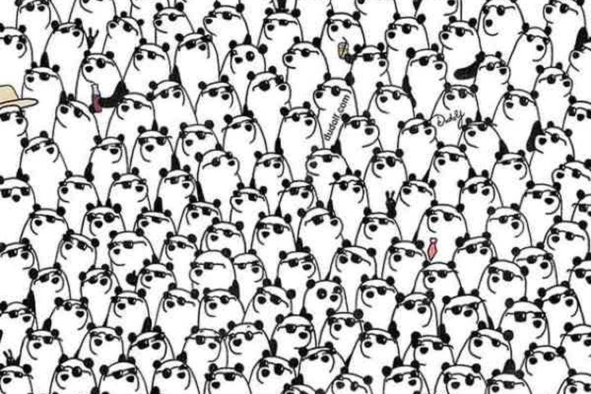 Encontre os pandas sem óculos na imagem.