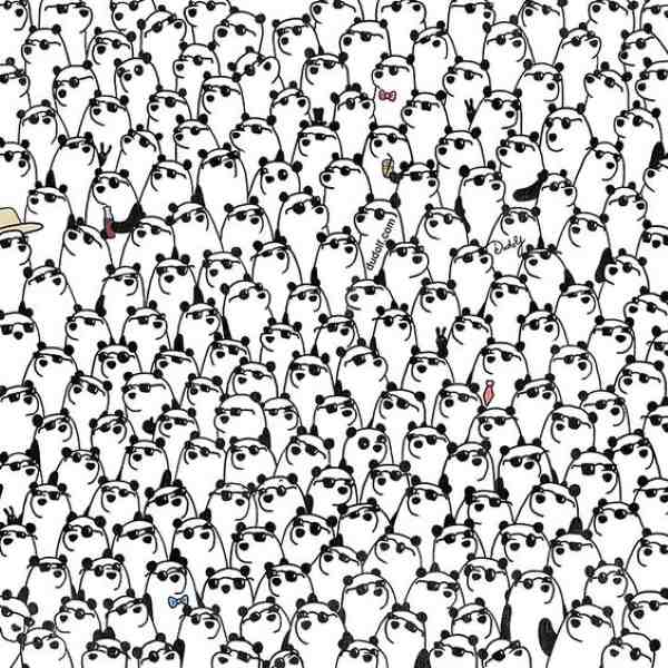 encontre os pandas sem oculos Encontre os pandas sem óculos na imagem.