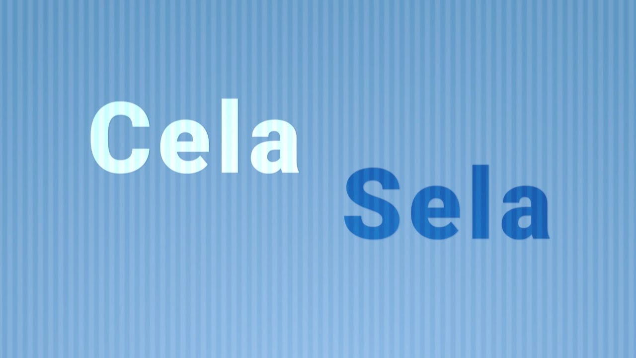 "Cela" ou "sela"? Como escrever corretamente?