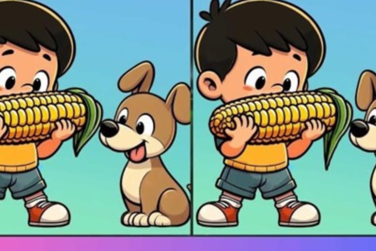 menino e o cão