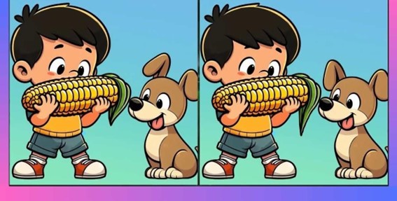 menino e o cão menino e o cão
