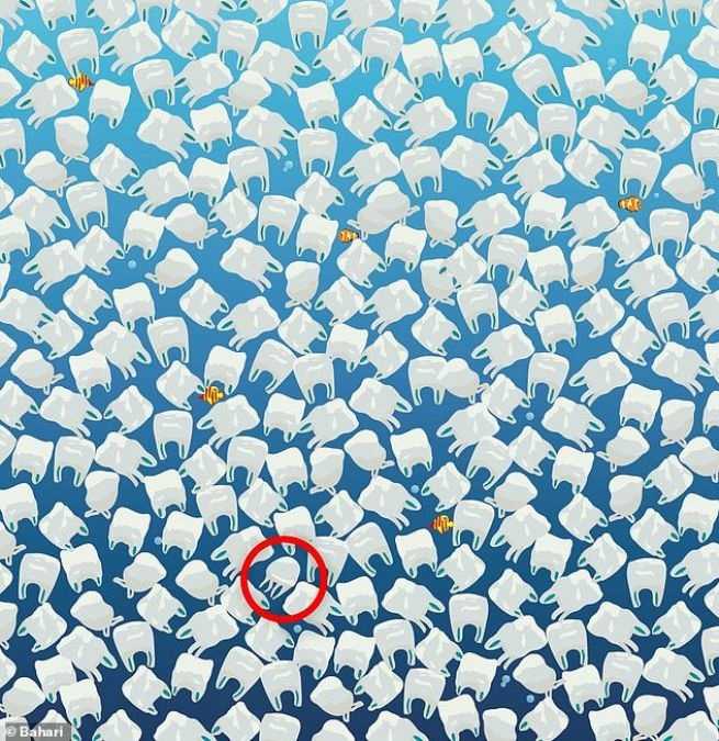 resposta de onde esta a agua viva entre as sacolas de plastico Resposta de onde está a água-viva entre as sacolas de plástico.