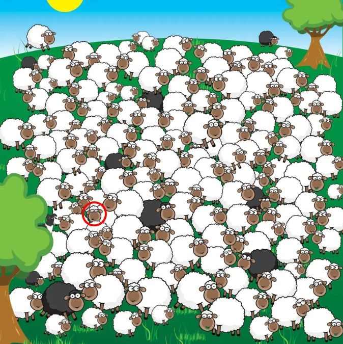 resposta de onde esta a ovelha que esta dormindo Resposta de onde está a ovelha dormindo.