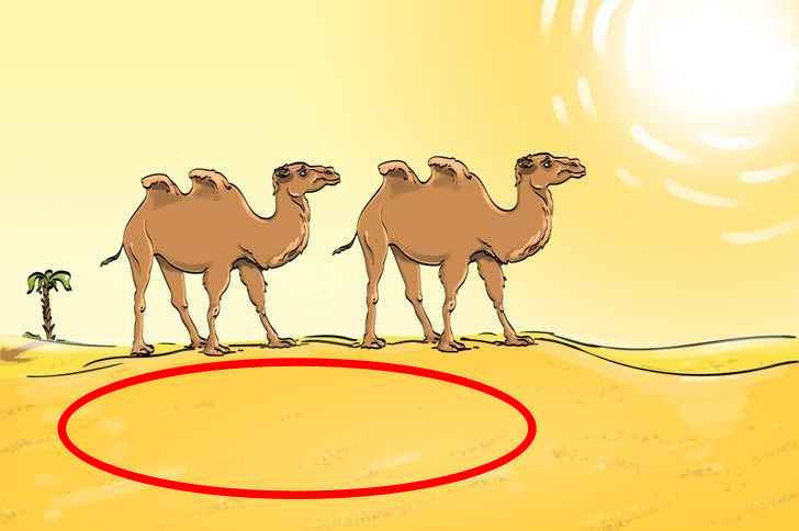 resposta de onde esta o erro no deserto Resposta de onde está o erro no deserto.