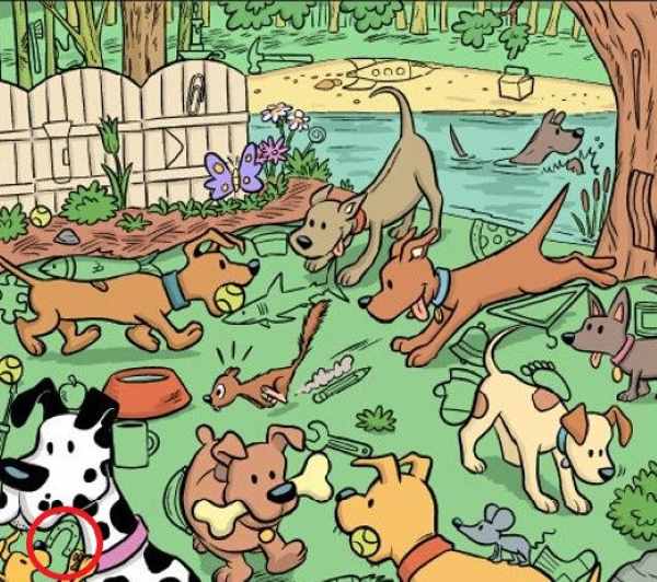 resposta de onde esta o ima Resposta de onde está o ímã neste desafio visual.