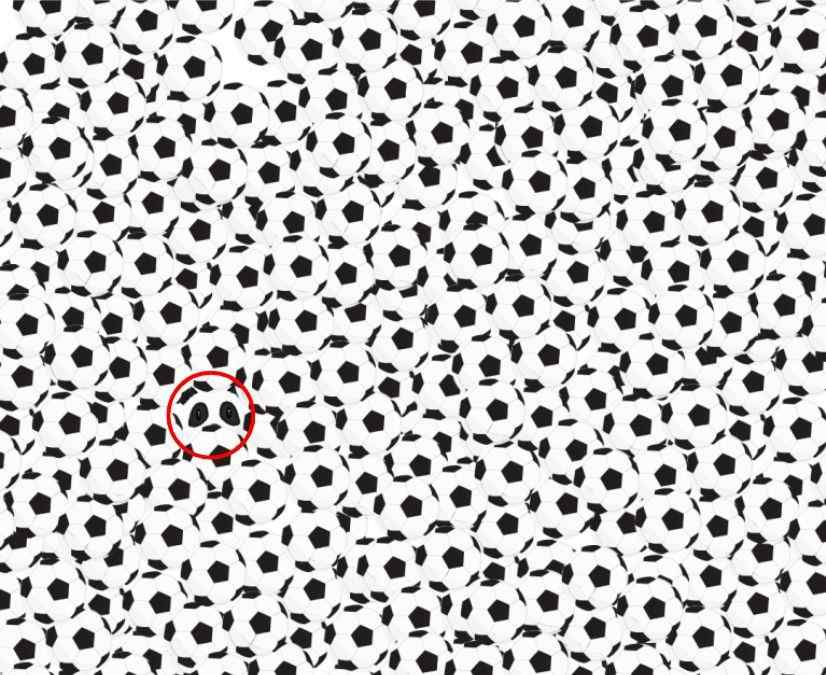 resposta de onde esta o panda entre as bolas de futebol Resposta de onde está o panda entre as bolas de futebol.