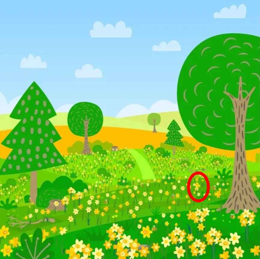 resposta de onde esta o pintinho no desafio Resposta de onde está o pintinho no desafio.