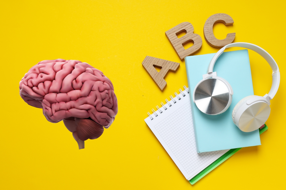 Aprender um idioma: o que acontece com o seu cérebro nos estudos? Aprender um idioma: o que acontece com o seu cérebro nos estudos?
