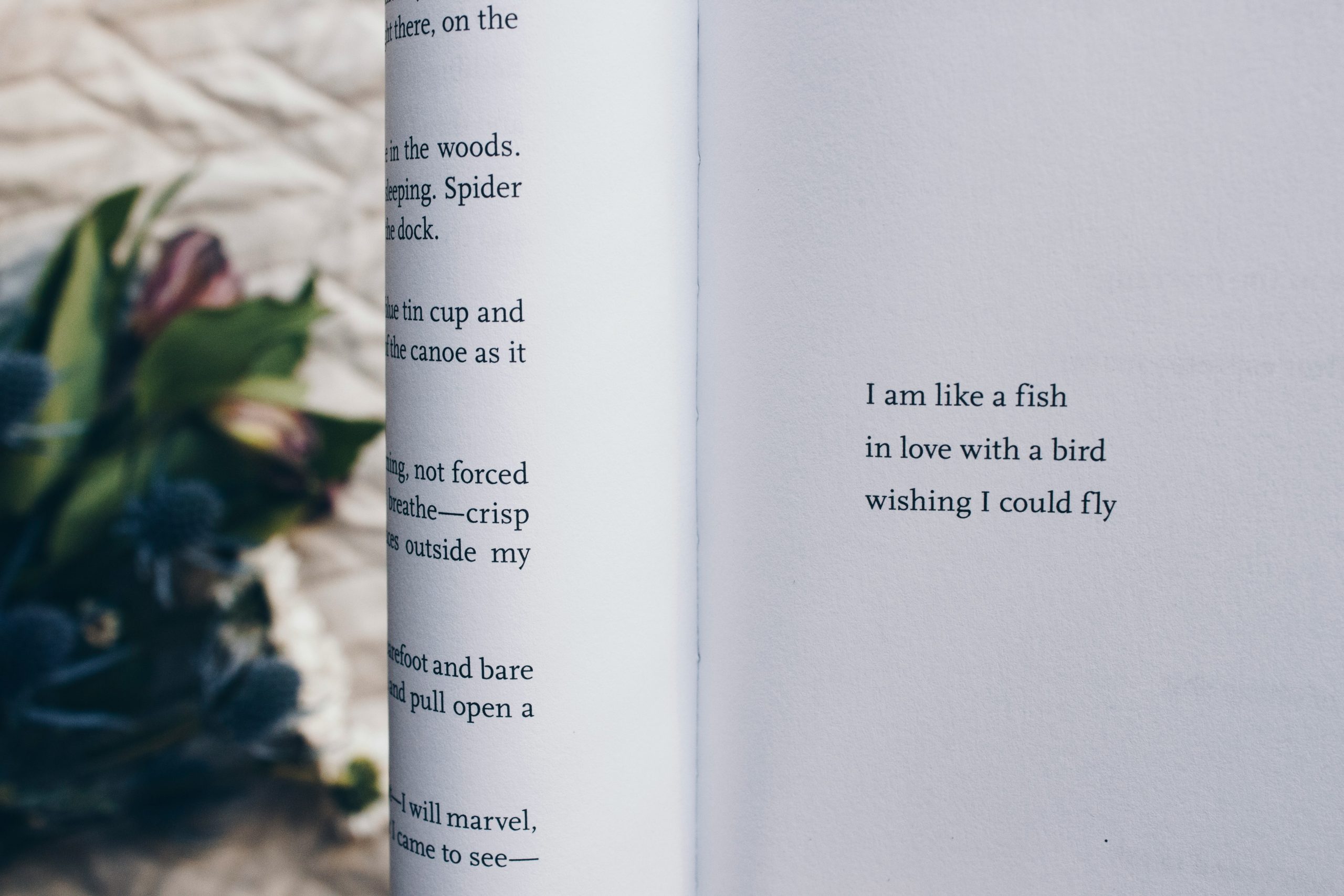 Hora literária – veja 5 poemas de Augusto dos Anjos (Foto: Unsplash).