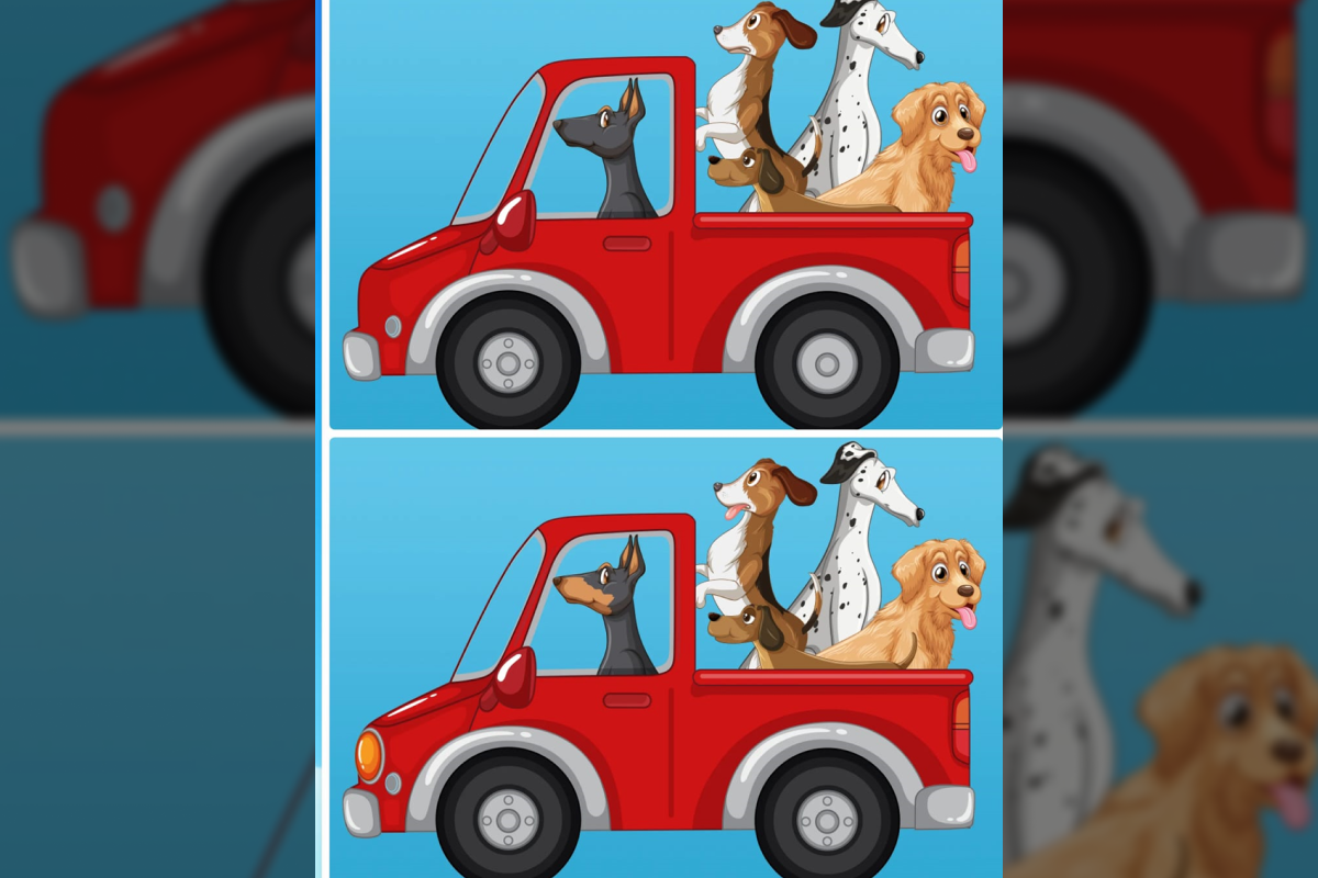 Jogo das diferenças dos cachorros