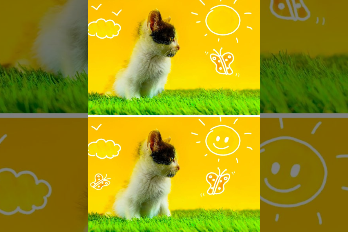 Desafio visual das diferenças entre as imagens