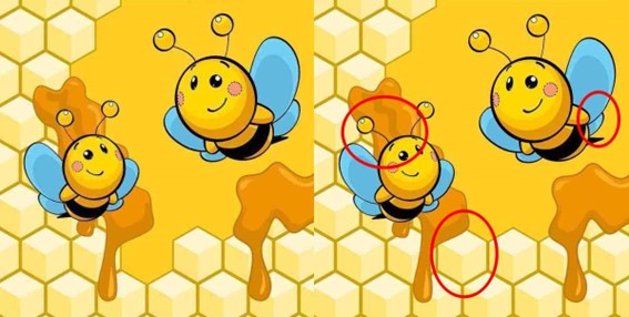 Jogo das diferenças: encontre 3 erros entre as imagens das abelhas em 10 segundos Resposta do Jogo das diferenças